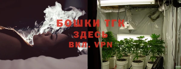 экстази Арсеньев