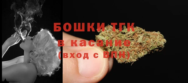 твердый Аркадак