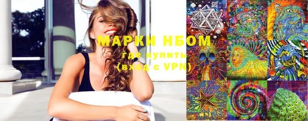 твердый Аркадак