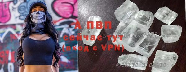 экстази Арсеньев